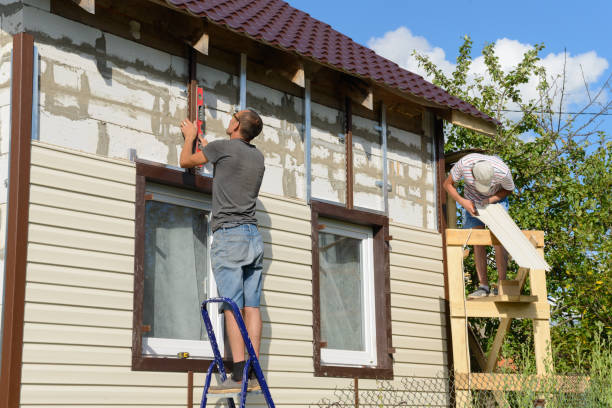 Best Stone Veneer Siding  in Sparta, IL